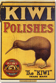 kiwi polish